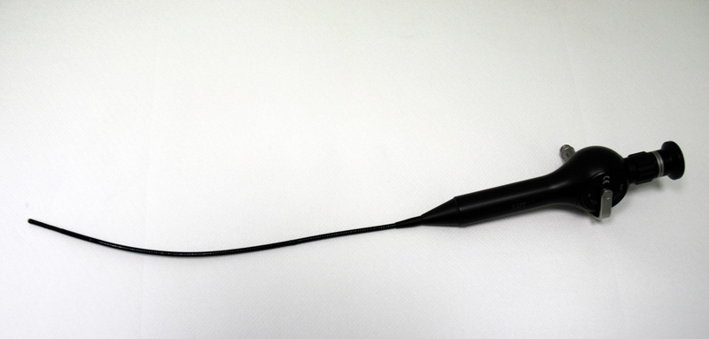 Endoscopia nasale e laringea